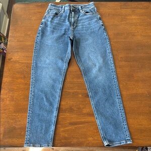 American Eagle Outfitters Blue Straight Leg Jeans